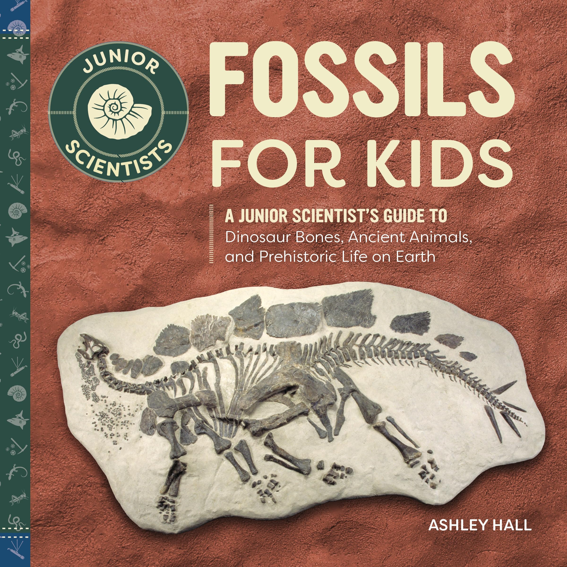 1 Best Books On Fossils