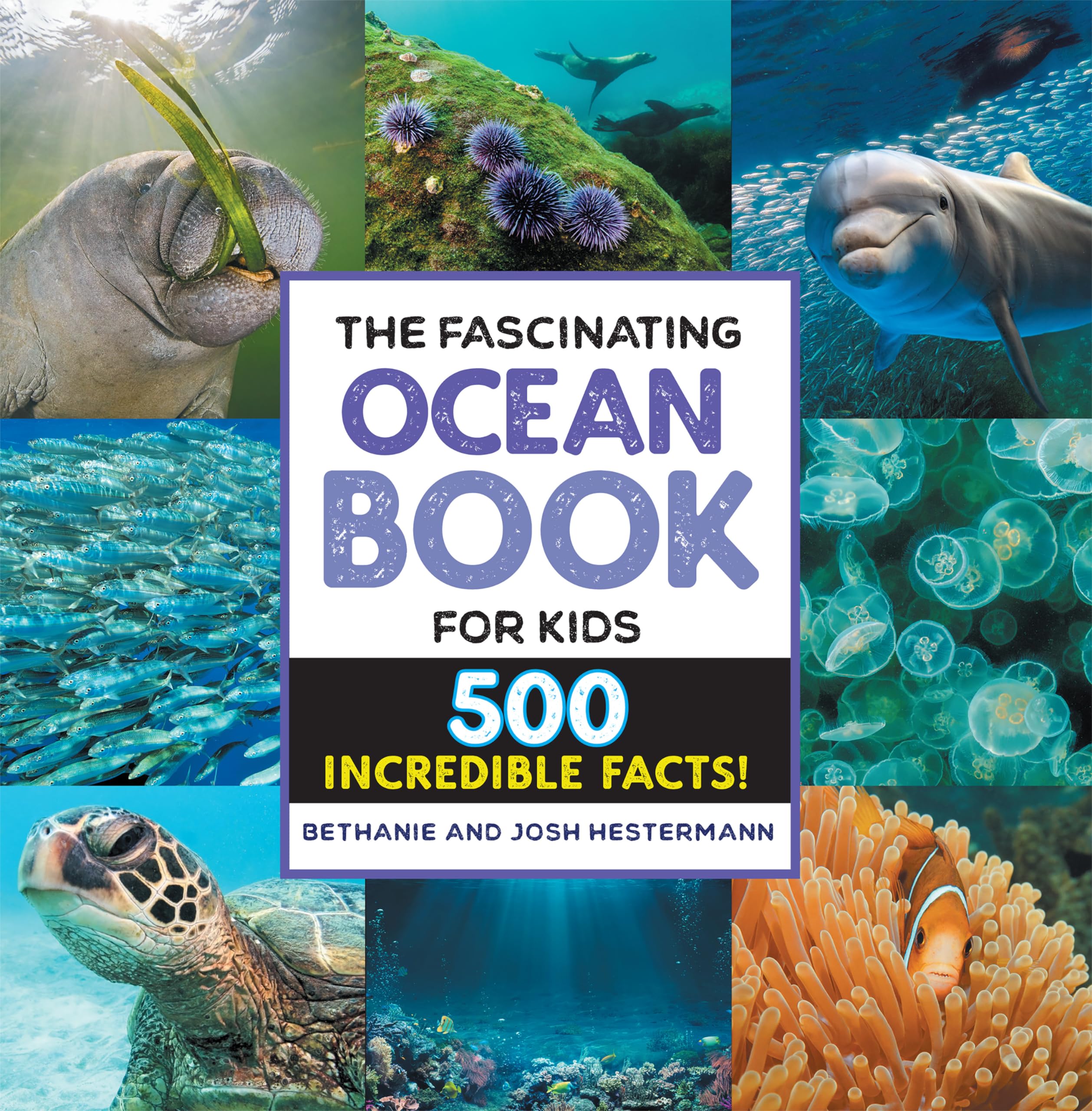 1 Best Books On Oceans