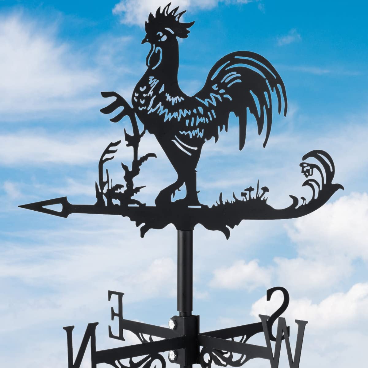 1 Best Weather Vanes