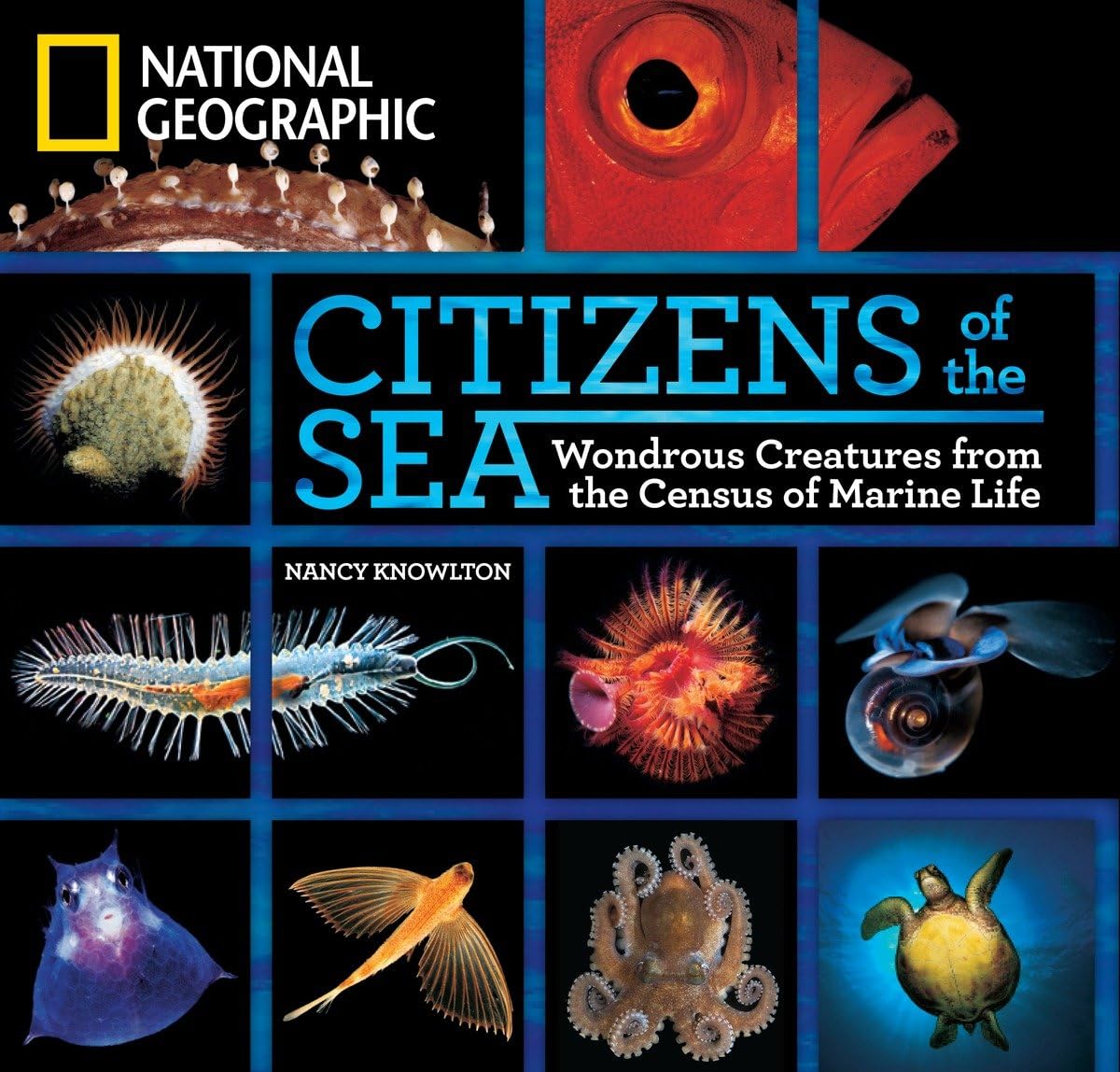 3 Best Books On Marine Biology