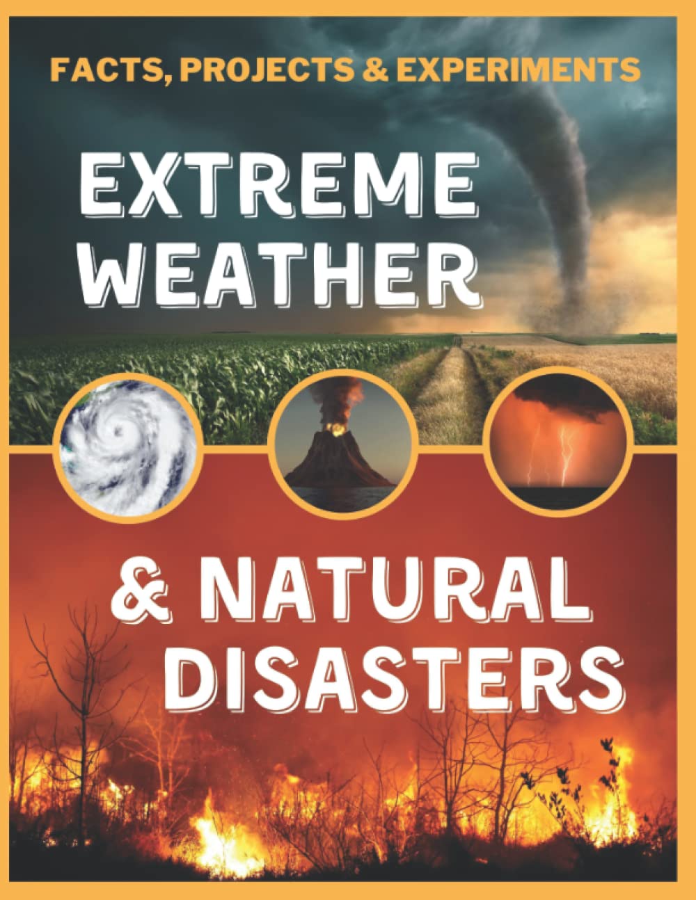 4 Best Books On Natural Disasters