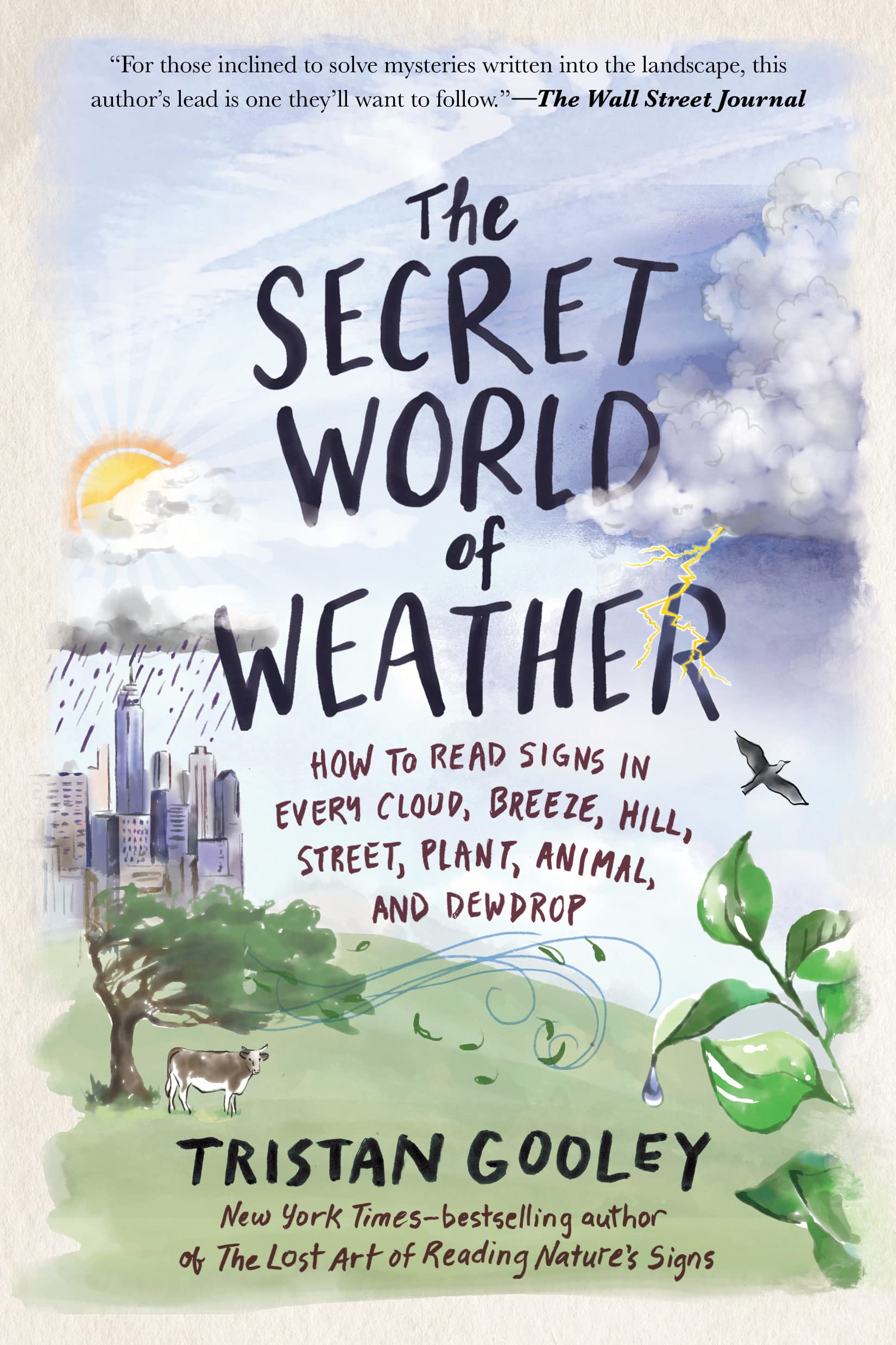 6 Best Books On Meteorology