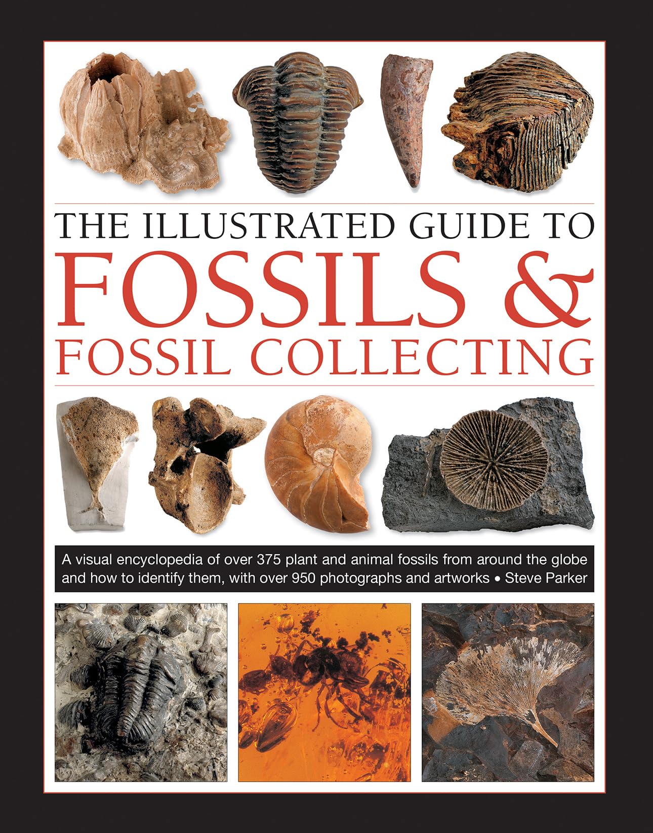 8 Best Books On Fossils